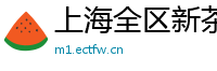 上海全区新茶模特威